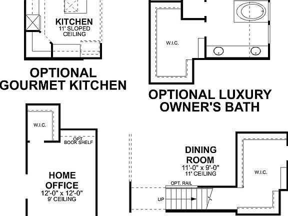 Nolan First Floor Options