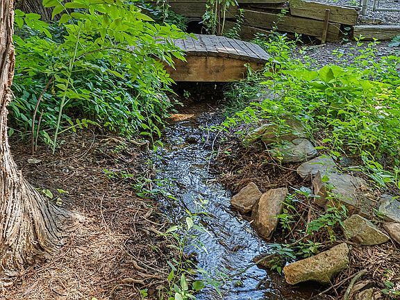 Year-round creek!