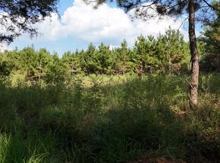 County Road 3121, Long Branch, TX 75669