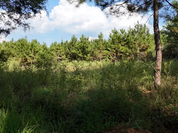County Road 3121, Long Branch, TX 75669