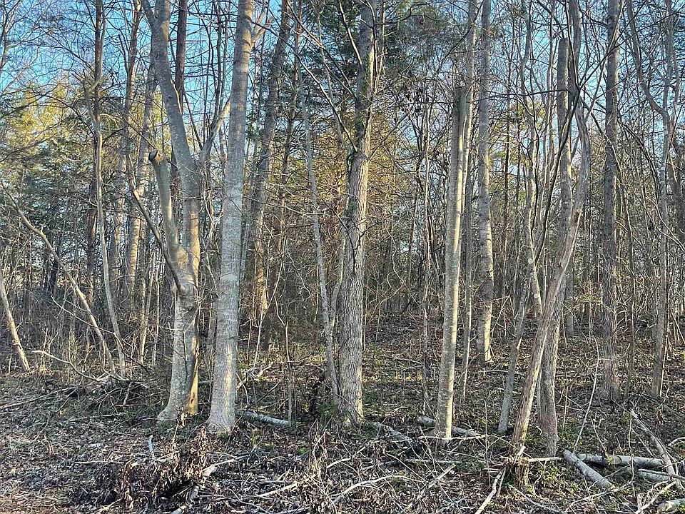 2nd image of 996 Goodwin Bridge Rd