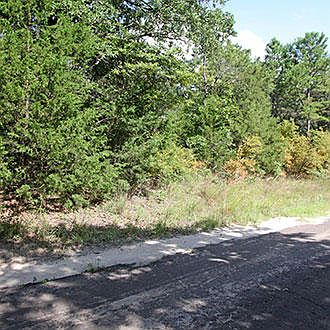2nd image of Walnut Ln