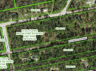 13027 Duchess Ave LOT 41, New Pt Richey, FL 34654