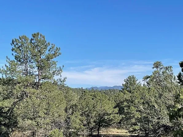 3625 J Path, Cotopaxi, CO 81223