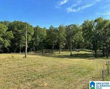 2450 Spring Creek Rd #1, Montevallo, AL, 35115