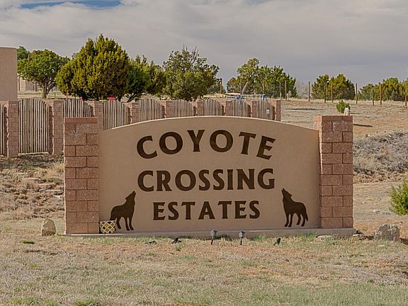 28 Cmo Coyote-25