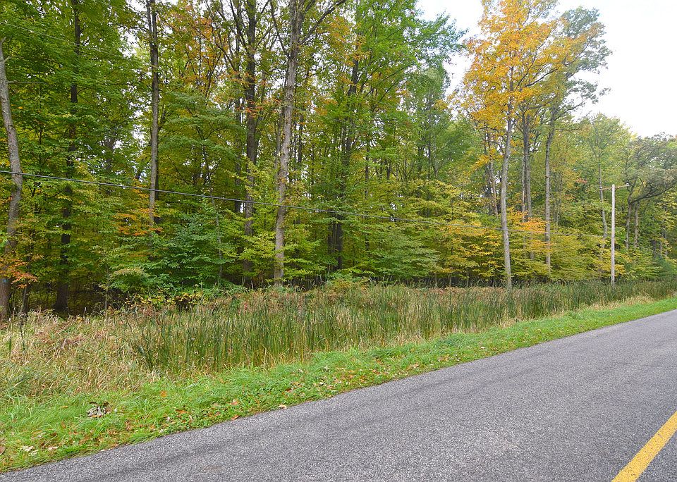 Across the street from 89 acres of Little Forks Land Conservancy.  This beautiful 5 acres of woods is in Homer Twp where you don't have to worry about neighbors across the street.  Perfect building site for your dream home.  City water, septic, gas is already ran to an old trailer.