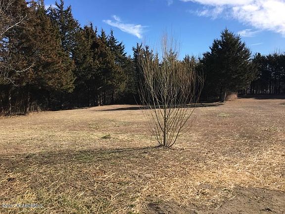 3rd image of 4215 Charlane Dr