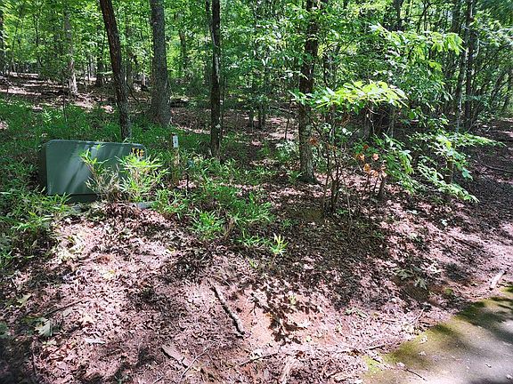 4th image of 0 Timberline Ln