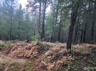 110 Ridge Ln, Packwood, WA 98361