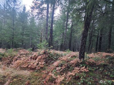 110 Ridge Lane, Packwood, WA, 98361