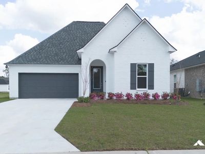 10668 Deric Ave, Denham Springs, LA, 70726