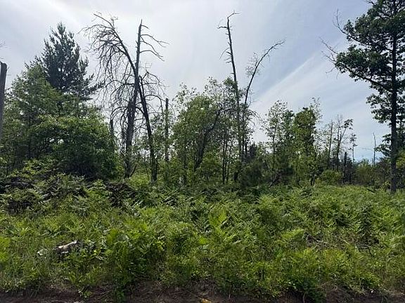 2nd image of PARCEL 3 S Nelson Rd