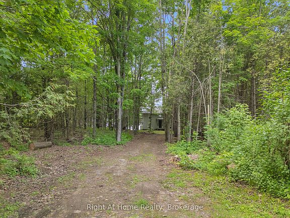 3rd image of 74 Talbot Rd