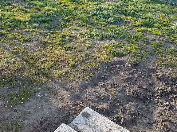 outside yard