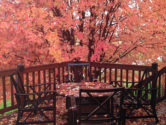 View from kitchen windows