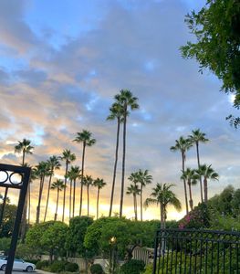 243 S Barrington Ave APT B1, Los Angeles, CA, 90049