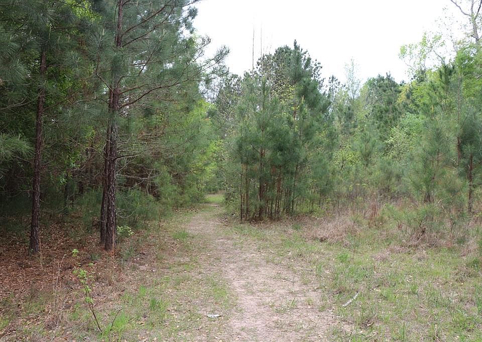 1st image of Long Dr