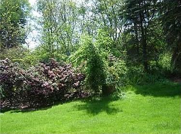 2nd image of 252 N Depaoli Rd