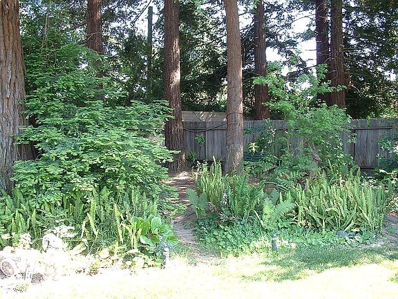 Our forest picnic area relax