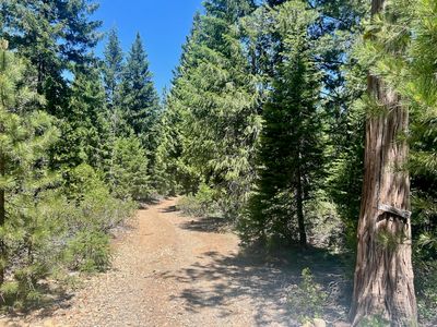 910 Mountain Dr, Johnsville, CA, 96103