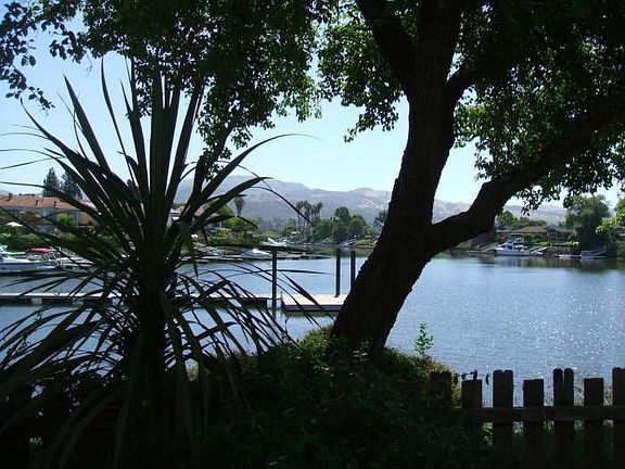 backyard view