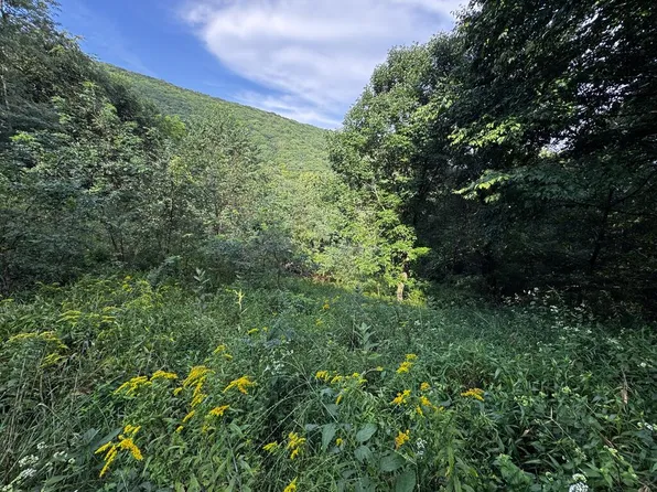Tbd Point Lookout Ln, Independence, VA 24348