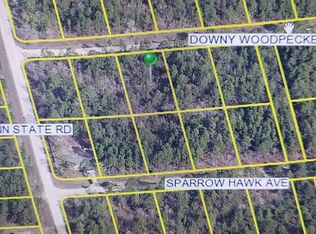 LOT 3 Downy Woodpecker Rd, Brooksville, FL 34614