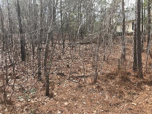 1st image of 207 Juniper Creek Blvd
