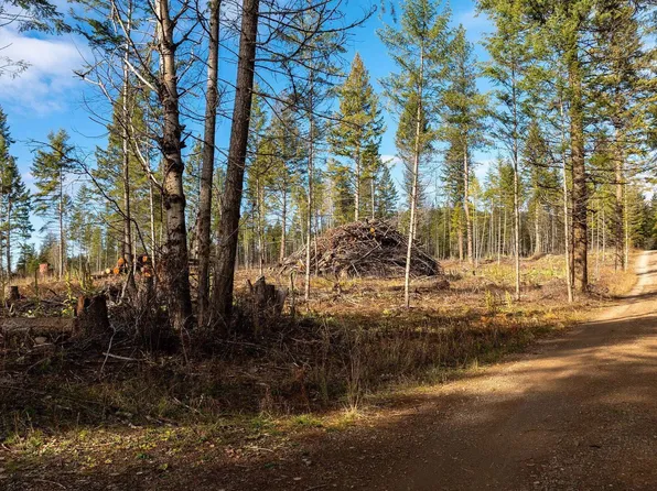 773 Cougar Loop, Clark Fork, ID 83811