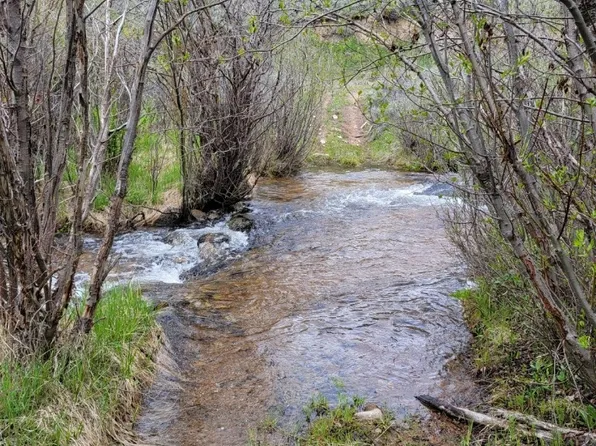 TBD Dingley Creek Rd, Polaris, MT 59746