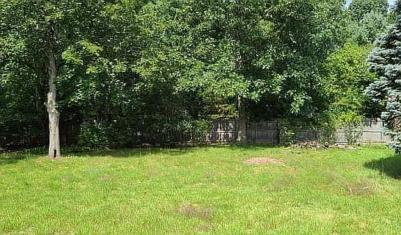 Large, 1/2 acre backyard!