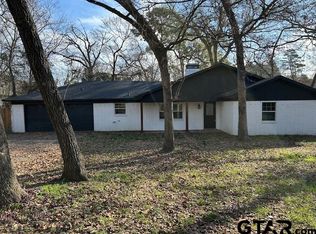 18003 Lookout Lake Cir, Flint, TX 75762