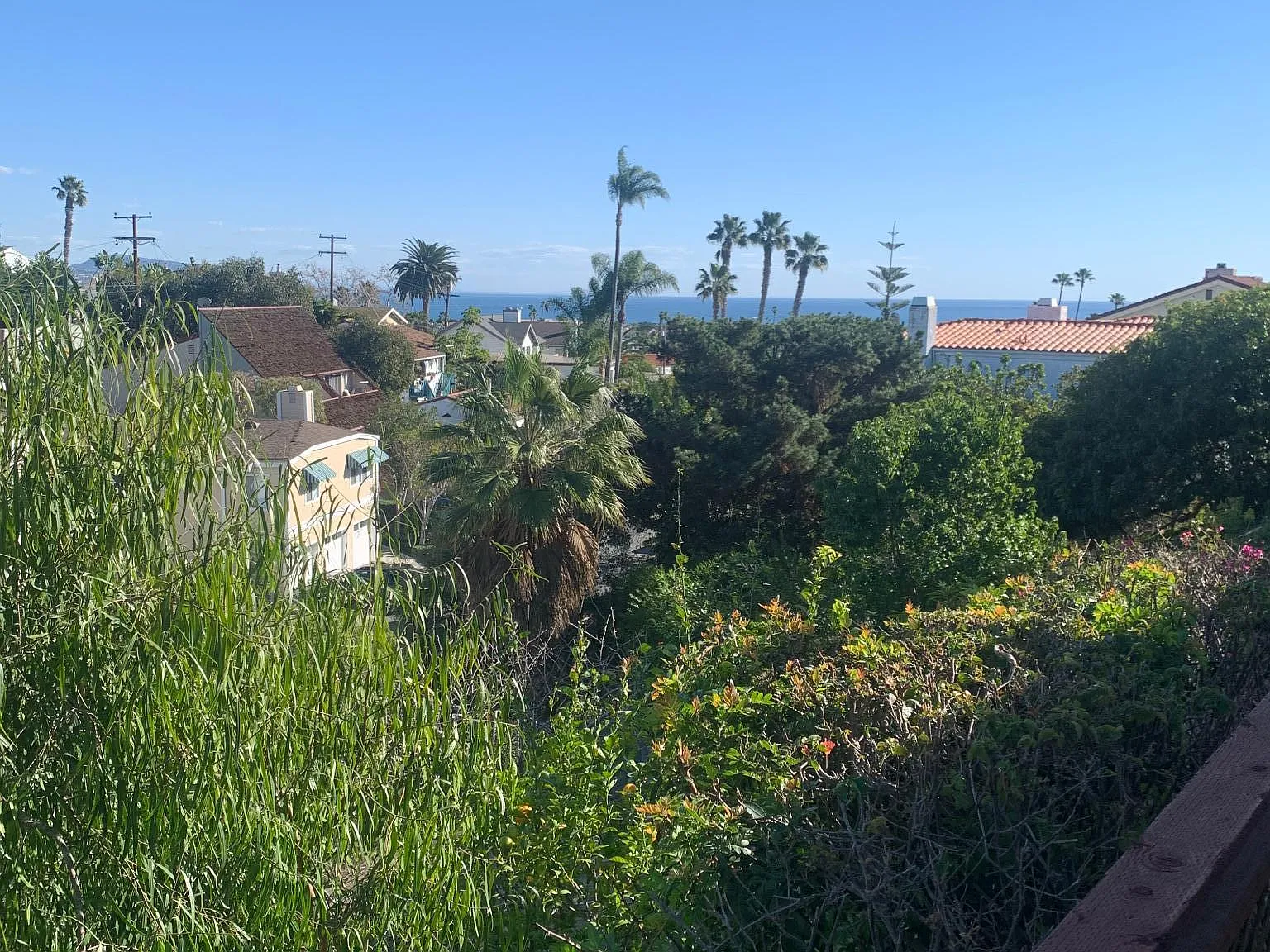 33852 Barcelona Pl — Photo 1