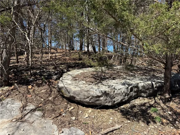 Rocky Top Circle F, Eureka Springs, AR 72631