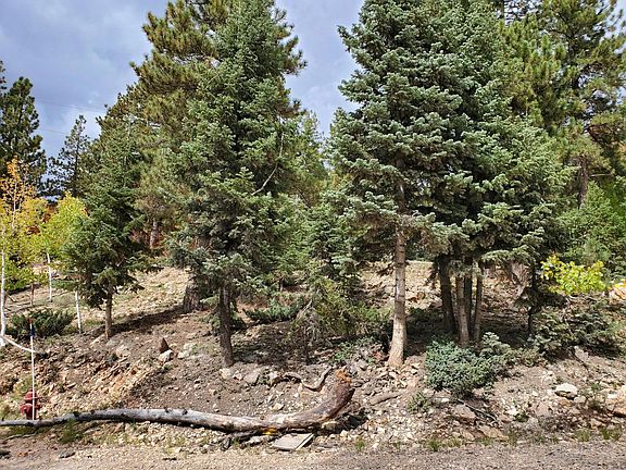 5th image of 525 E Whispering Pines Dr