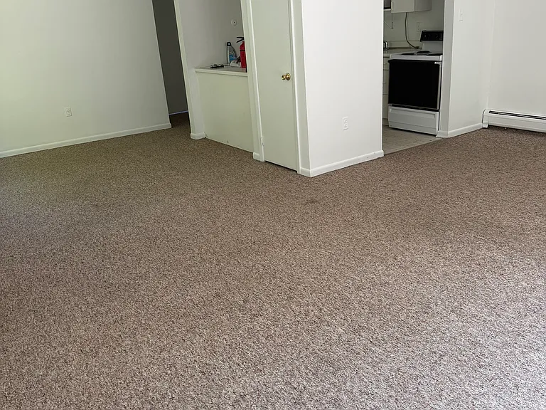 Storage Closet in Living Room