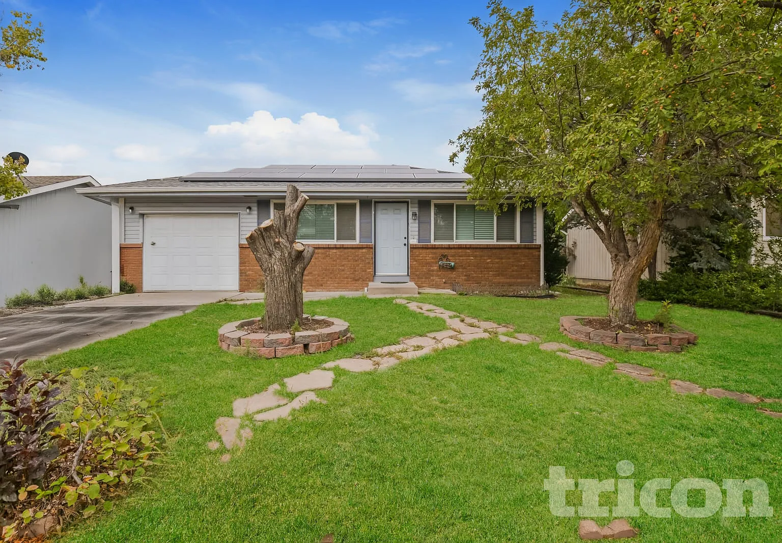910 Foothills Ct Windsor CO — Photo 1