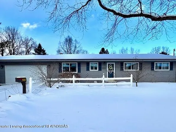 408 Lake St, Bellevue, MI 49021