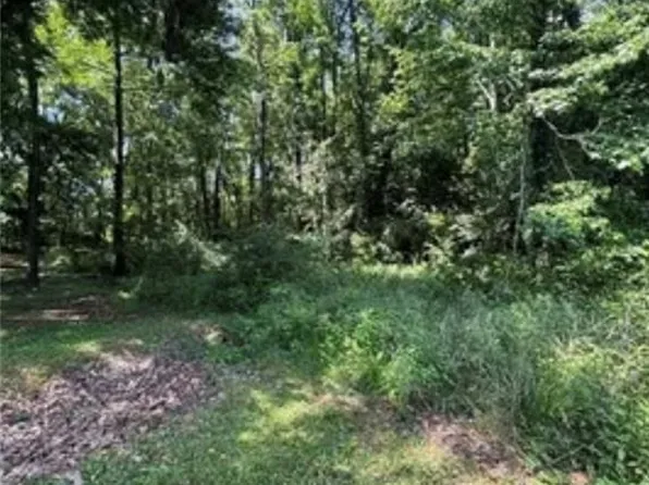 0 W Martin Luther King Hwy, Tuskegee, AL 36083