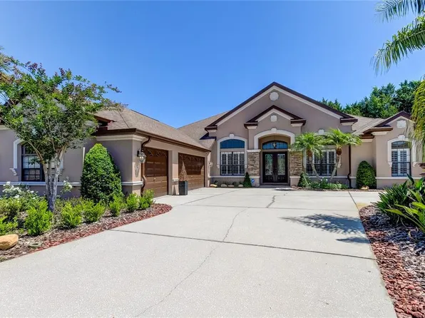 1422 Aristides Ct, Odessa, FL 33556