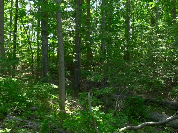 0 Oak Hill Rd, Lyles, TN 37098