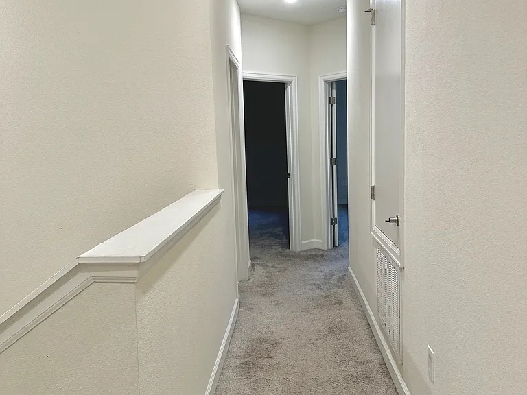 11066 Whistling Pine Way — Photo 12