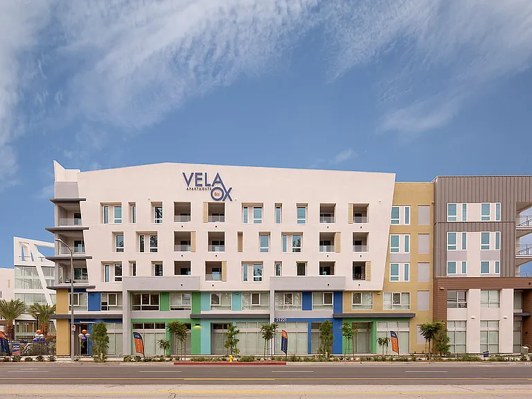 Vela on Ox — Photo 68