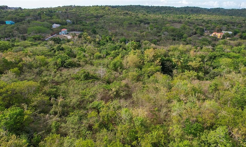 2nd image of 3055 Bo Pilon