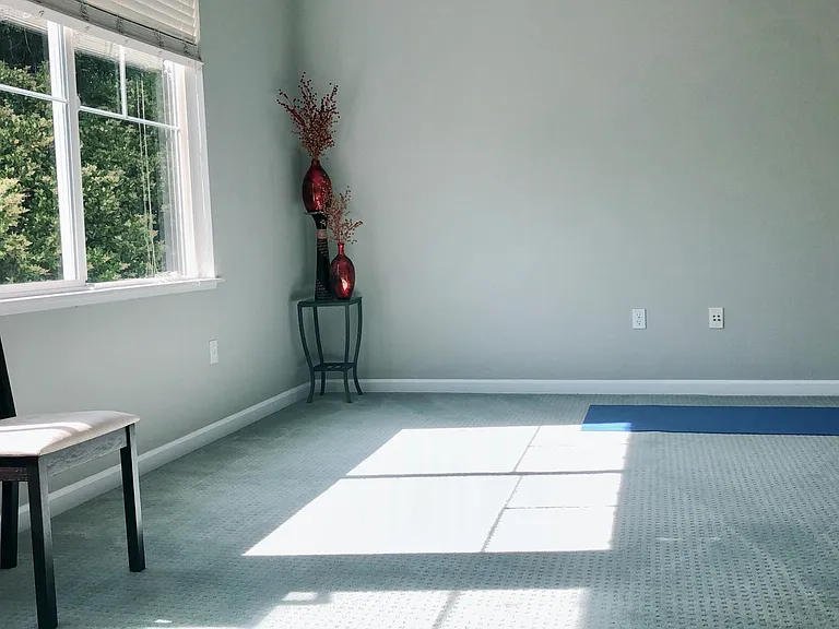 Living Room is one of our favorite parts of the house. Cheerful sunlight in the afternoons.