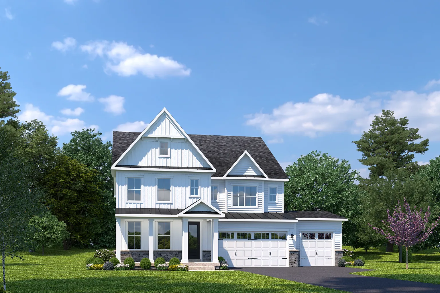 Treviso Plan, Pinewood photo 1