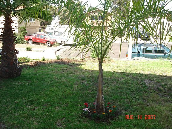 FRONT YARD