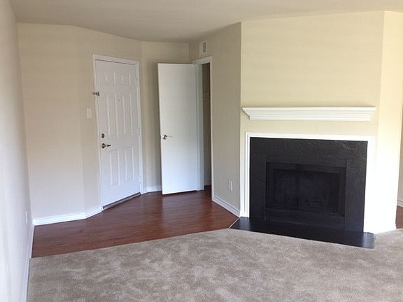 Wood burning fireplace