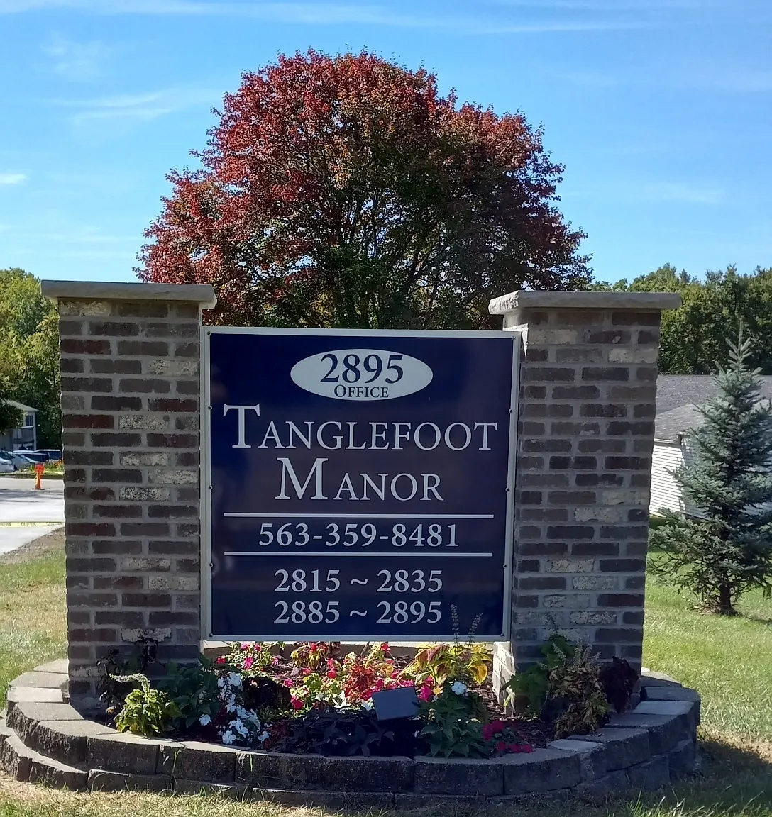 Tanglefoot Manor — Photo 2